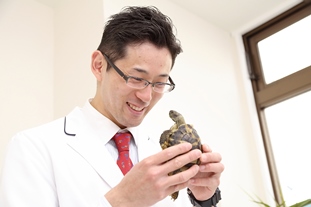 カメ カメ