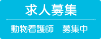 求人募集