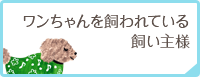 ワンちゃんを飼われている飼い主様