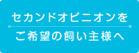 セカンドオピニオンをご希望の飼い主様へ