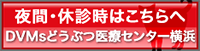 DVMsどうぶつ医療センター横浜