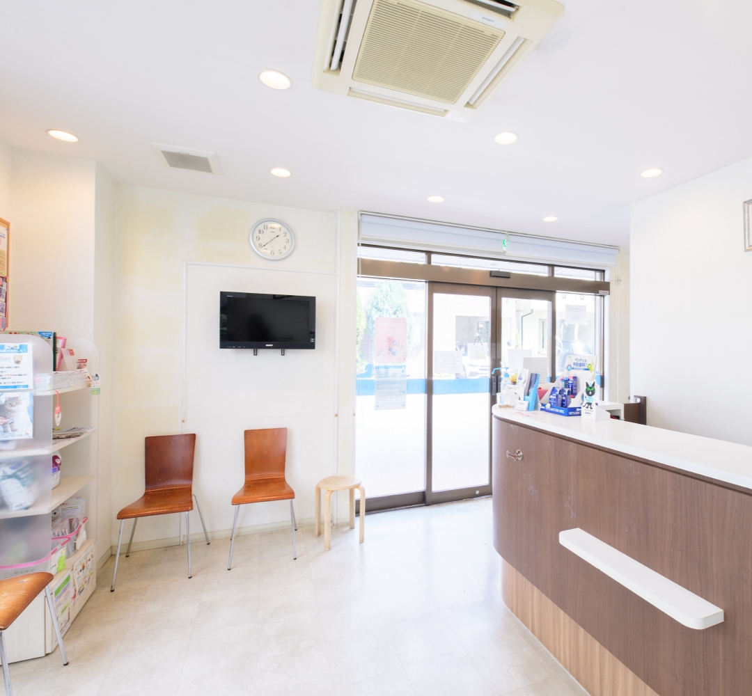 アットホームでフレンドリーな動物病院です
