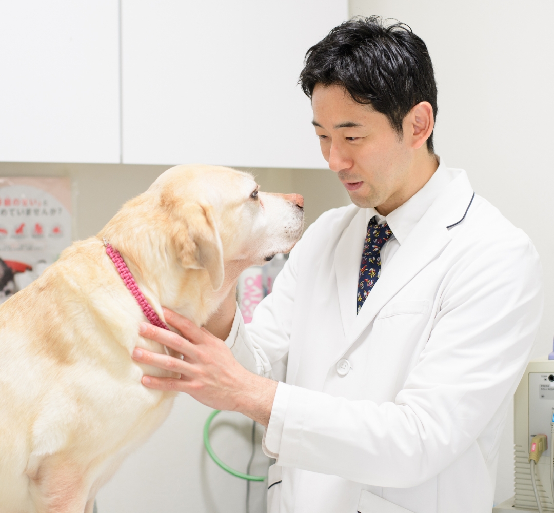 五感をフルに使い見落としを少なくしています